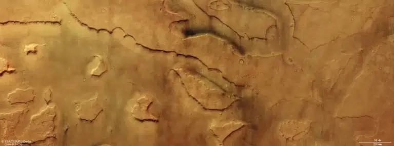 Pogled iz orbite na područje Mamers Valles na Marsu, s brojnim tamnim tragovima prašinskih vrtloga preko svijetlosmeđe površine.
