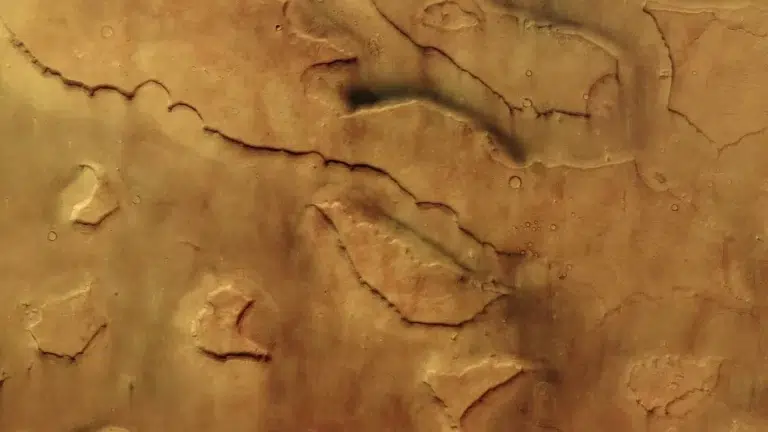 Pogled iz orbite na područje Mamers Valles na Marsu, s brojnim tamnim tragovima prašinskih vrtloga preko svijetlosmeđe površine.