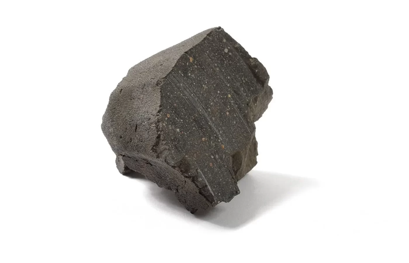 Meteorit Murchison na bijeloj pozadini, s tamnom površinom i sitnim svijetlim mineralnim uklopcima.