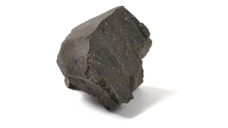 Meteorit Murchison na bijeloj pozadini, s tamnom površinom i sitnim svijetlim mineralnim uklopcima.