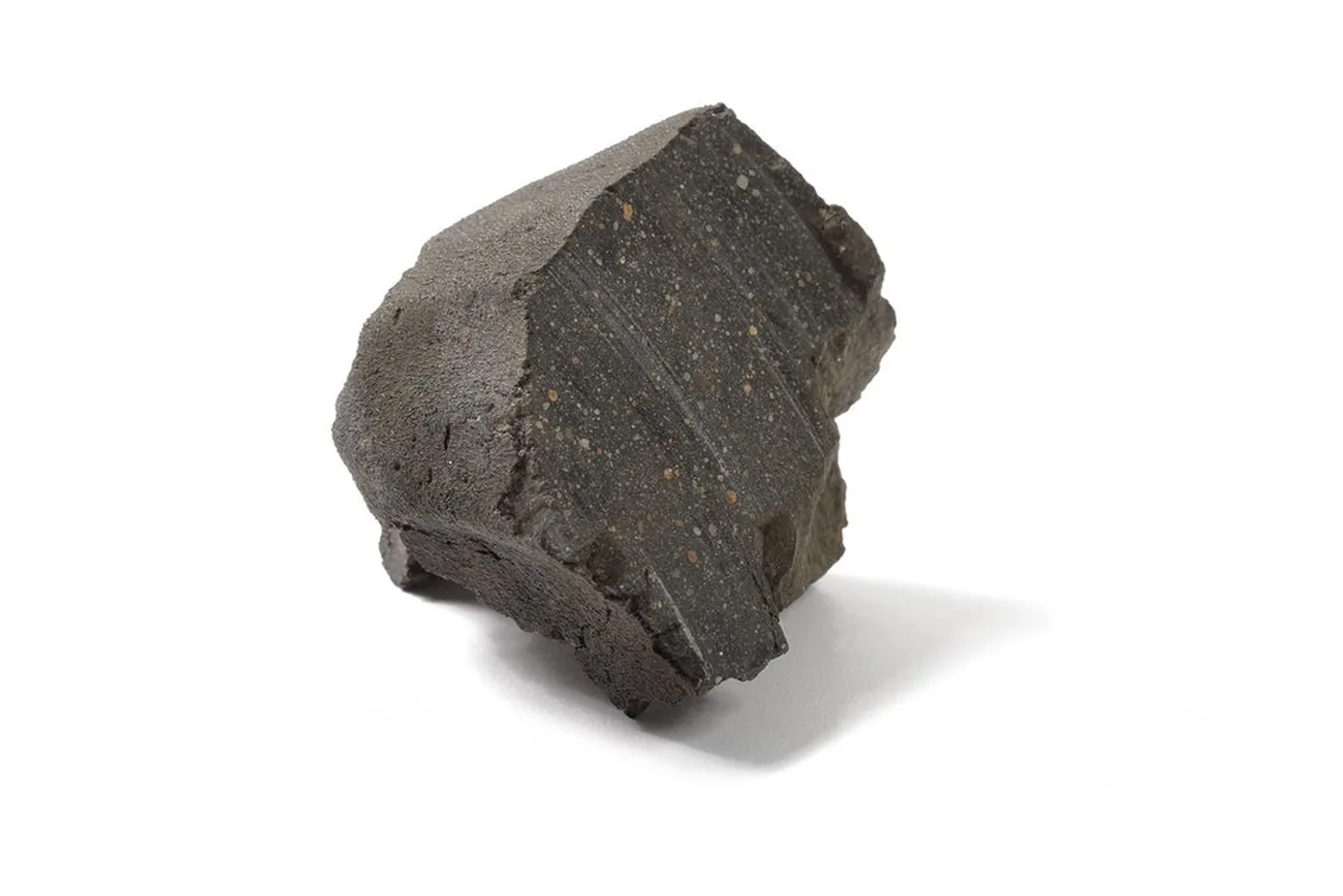 Meteorit Murchison na bijeloj pozadini, s tamnom površinom i sitnim svijetlim mineralnim uklopcima.