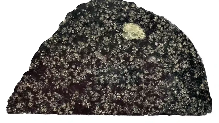 Presjek meteorita NWA 12774. Zeleni krug označava kristal olivina, minerala bogatog magnezijem. Zasluge: John Kashuba.