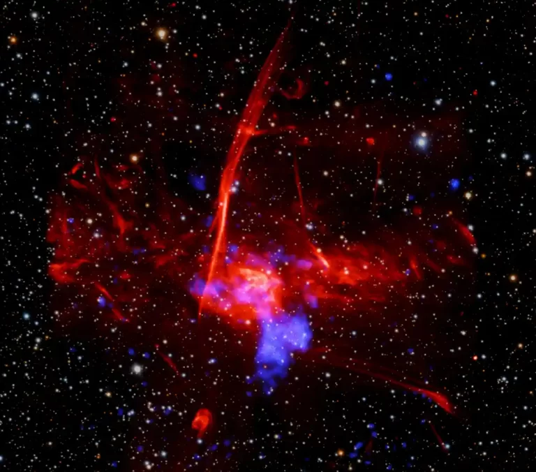 Astronomi su možda otkrili ostatak supernove u području stvaranja zvijezda blizu središta Mliječne staze, koristeći podatke Chandre i XMM-Newtona. Ako se potvrdi, bio bi to jedan od najbližih poznatih ostataka supernove supermasivnoj crnoj rupi u galaktičkom središtu. Ova kompozitna fotografija prikazuje područje u kojem su pronađeni tragovi mogućeg ostatka supernove. U njoj su spojeni rendgenski podaci Chandre i XMM-Newtona (plavo), radiopodaci južnoafričkog teleskopa MeerKAT (crveno) te optički podaci teleskopa Pan-STARRS s Havaja (crveno, zeleno i plavo). Zasluge: X-ray: NASA/CXC/UCLA/Z. Zhu et al.; ESA/XMM-Newton; Optical: PanSTARRS; Radio: MeerKAT; Image Processing: NASA/CXC/SAO/L. Frattare and P. Edmonds.