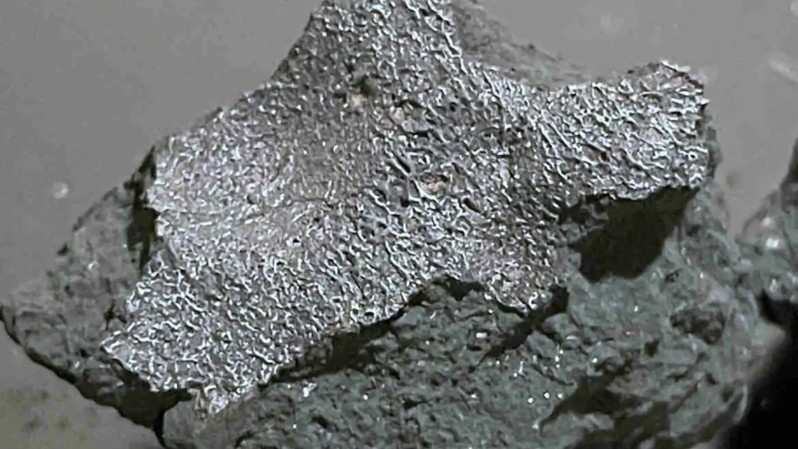 Krupni plan tamnog ulomka meteorita Hillsborough s hrapavom površinom i korom taljenja.