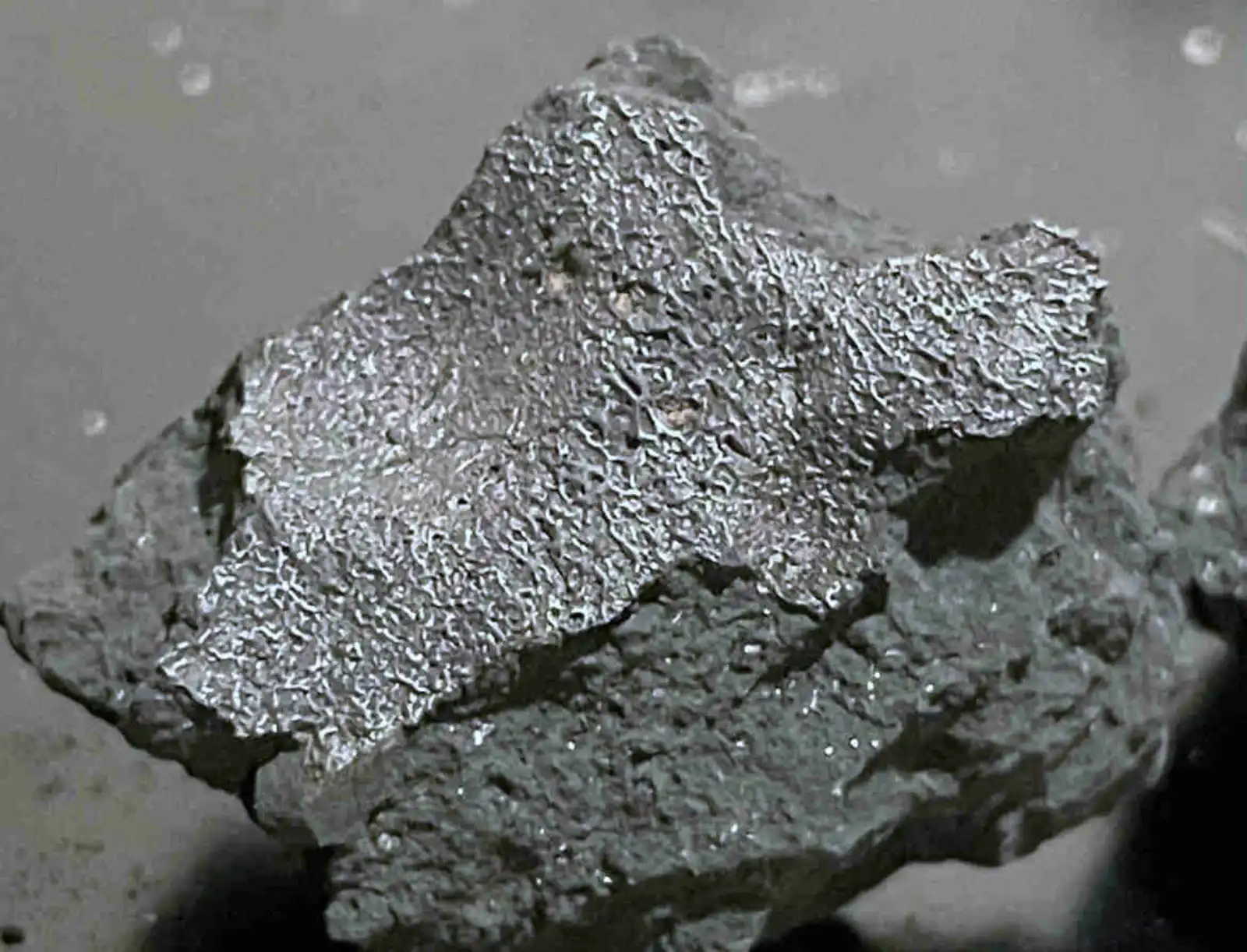 Krupni plan tamnog ulomka meteorita Hillsborough s hrapavom površinom i korom taljenja.