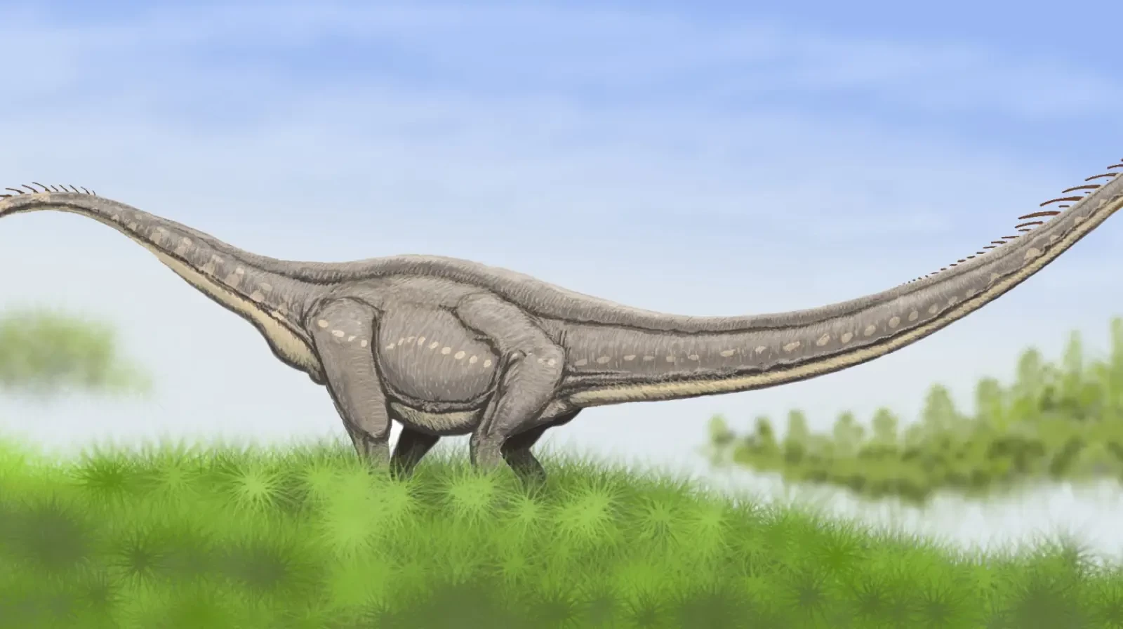 Rekonstrukcija sauropoda iz skupine mamenhisaura