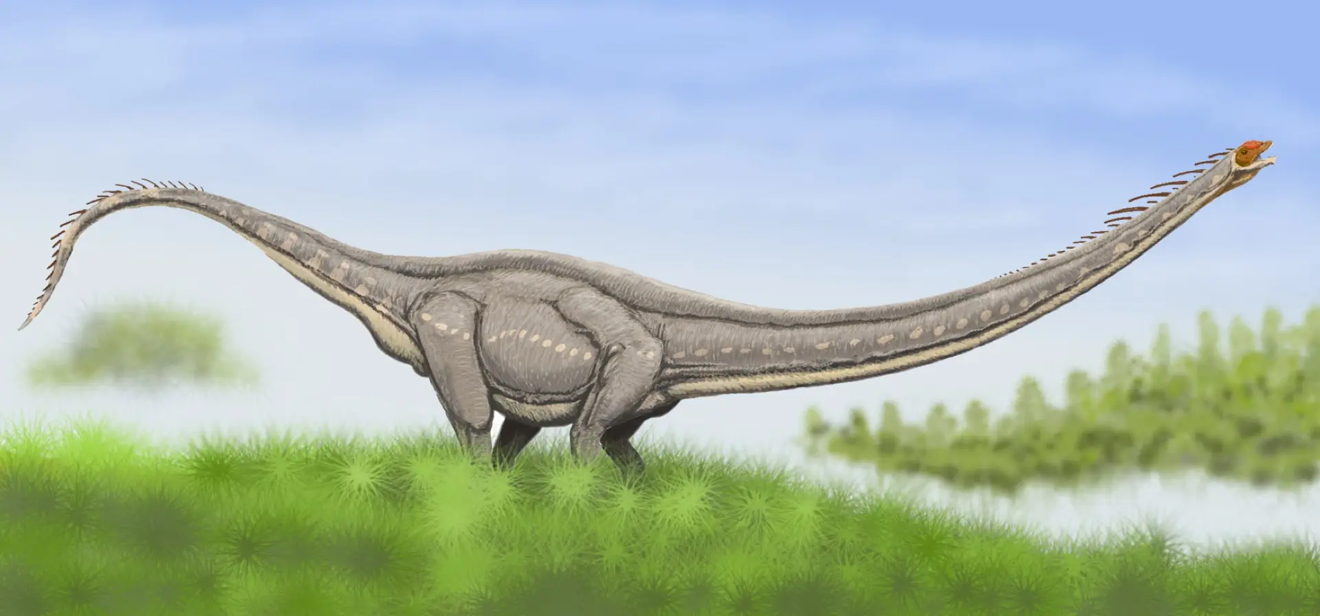 Rekonstrukcija sauropoda iz skupine mamenhisaura