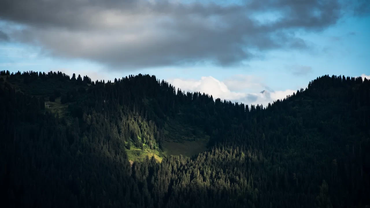 Šumovite planinske padine iznad Leysina u Švicarskoj pod oblačnim nebom