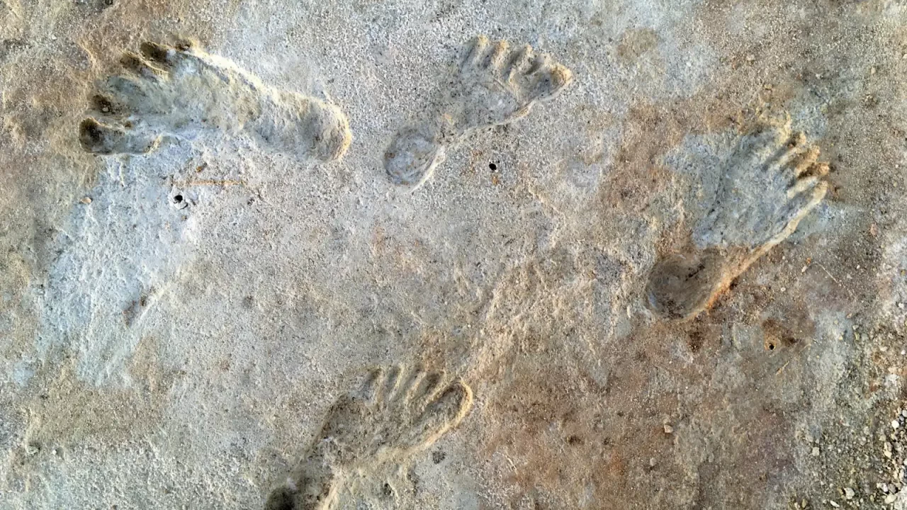 Niz udubljenih ljudskih otisaka u svijetlom sedimentu nalazišta White Sands.